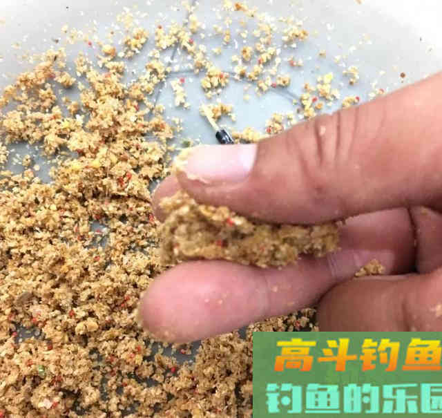 钓黑坑少不了散炮，这样搭配诱鱼快，大鲫鱼久聚不散