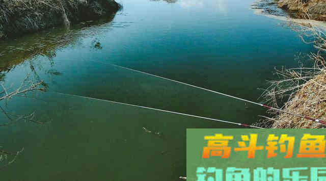 放长线钓大鱼并不正确！这种情况下若要用长竿，怕是要被人看笑话