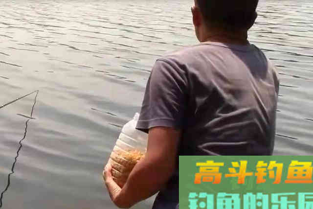 打了个大窝，还是没鱼上钩？老钓鱼人告诉你原因