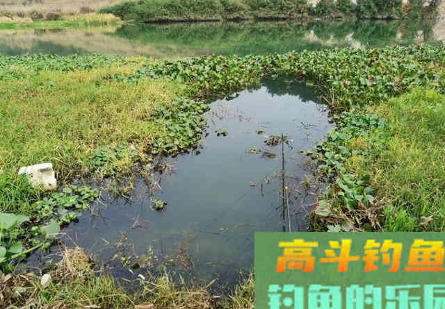 ​子线支撑力是否真的存在？别再争了，看完几组图片就能明白