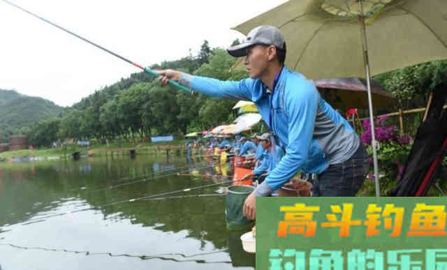 化氏不空军饵料状态差怎么办？我教你一招