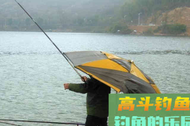 钓着钓着就停口了，老司机无奈说出原因