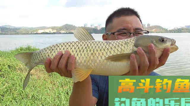浅谈野钓快窝：能快速诱鱼，技术要点及配套细节分享