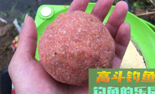 不同的鱼喜欢不同的饵料状态