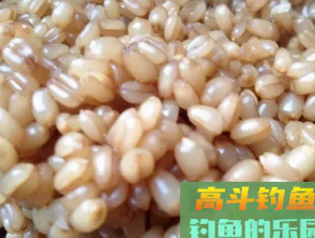 除了煮、泡、发酵，还有这种方法，制作的麦粒