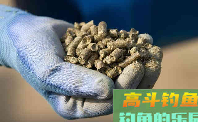 高效钓鱼小药在厨房？用对调料才能真省钱