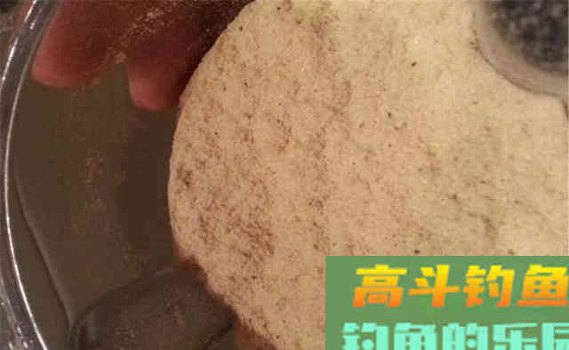 天气转凉，饵料中加点这东西，鲫鱼最喜欢