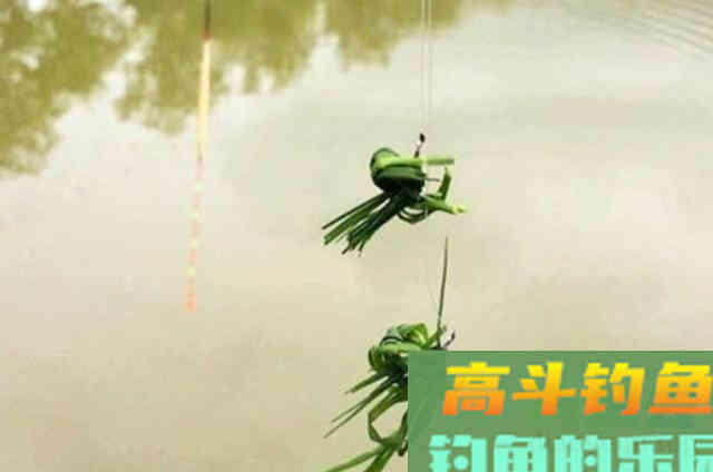 水中有饵，何必费钱！这5种特效饵从小用到大，至今依然管用