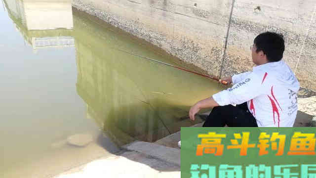 学会老钓友的这些作钓技巧，就算你是新手也一样能够钓得很好