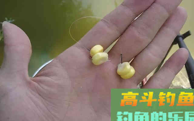 钓鱼时，上饵、抛竿，手抓在哪里才最合适呢