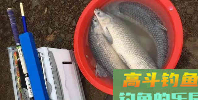 0.4的子线能钓多大的鱼？别把运气当实力，遇到鲤鱼切线没商量
