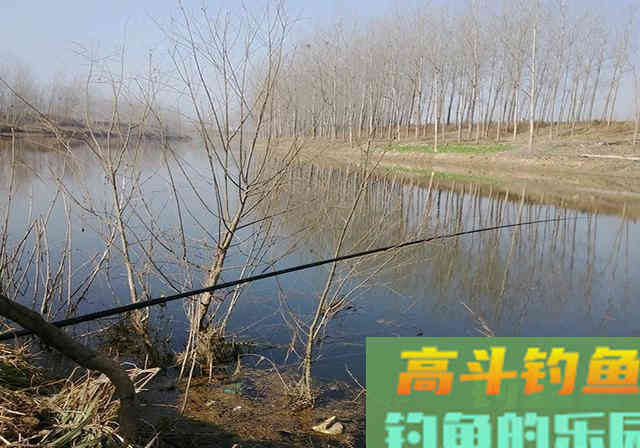 臭豆腐加入饵料当中，比钓鱼添加剂还好用