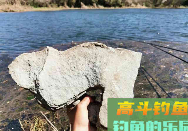 网红饵料全能腥（香）真的好用吗