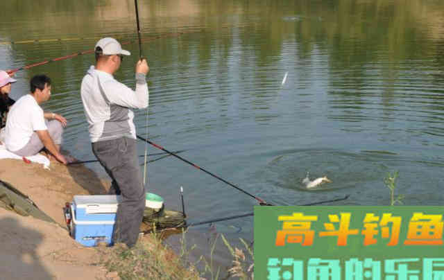 钓鱼时不要忽视鱼线，用标准线，钓明白鱼