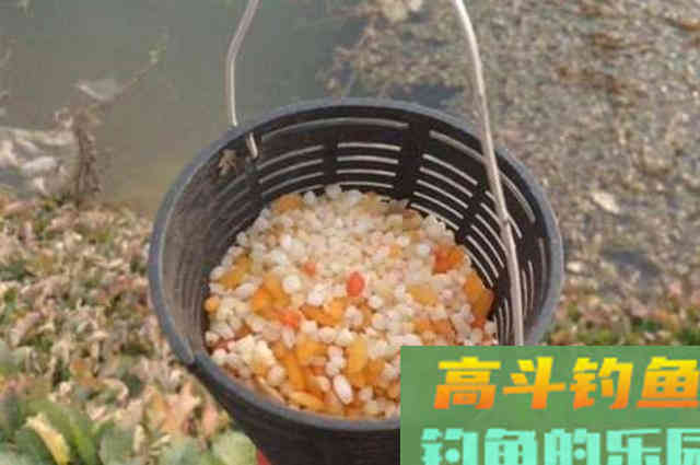 冬钓聚鱼难？教你3大绝技，窝料入水特招鱼