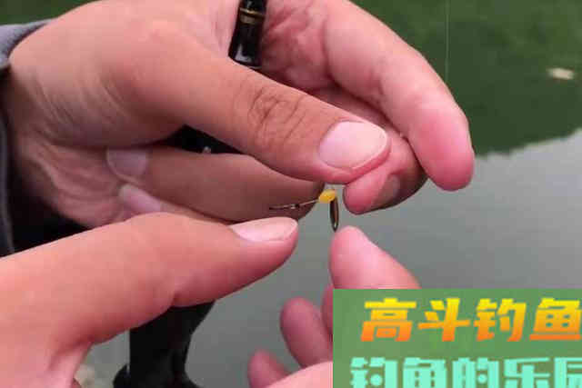 没鱼咬钩就怪饵料不好？没事别扯淡，背后原因