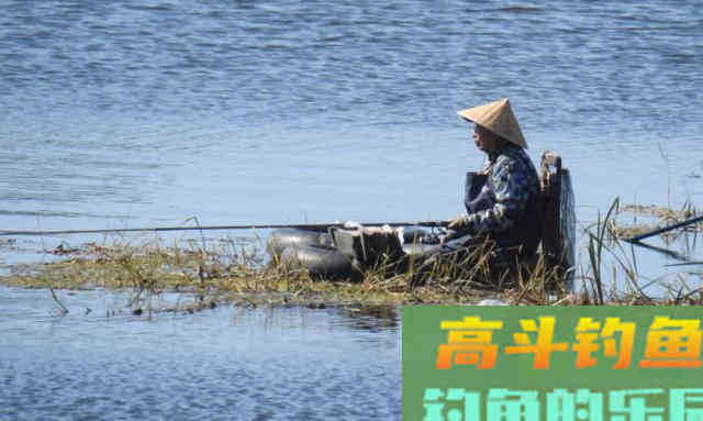 钓鱼用什么颜色的酒米？很多人都错了