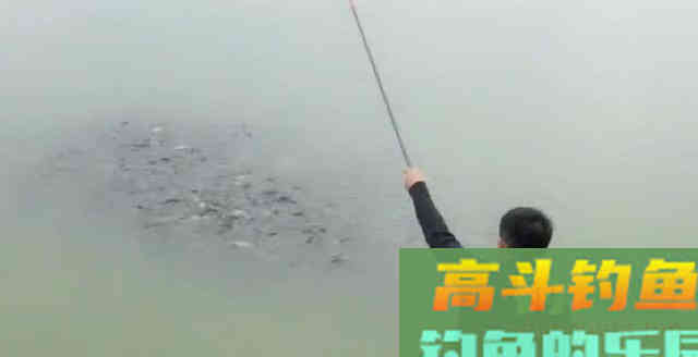 晚春前后的打窝方式为何如此不同？原因很简单