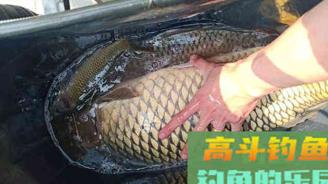 这十二种分析，看懂弄明白，超准抓口