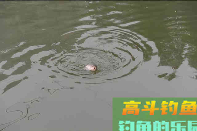 只要能解决这两点，打行程，一点都不难