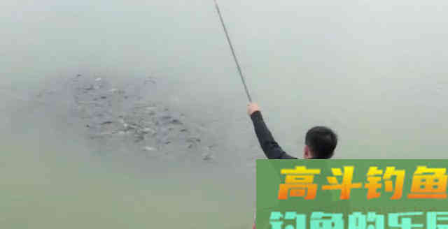 钓鱼时，肉眼能看到鱼群，但它们为什么就不上钩
