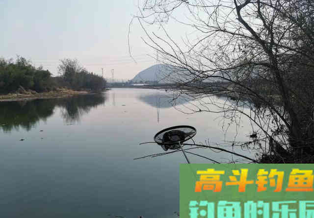 大鱼都跑到浅水了，你还守着深水能有好鱼获吗