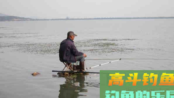 钓不到鱼，或许不是你的饵料、钓技不行