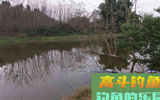 打窝真不是往水里盲目地扔诱饵