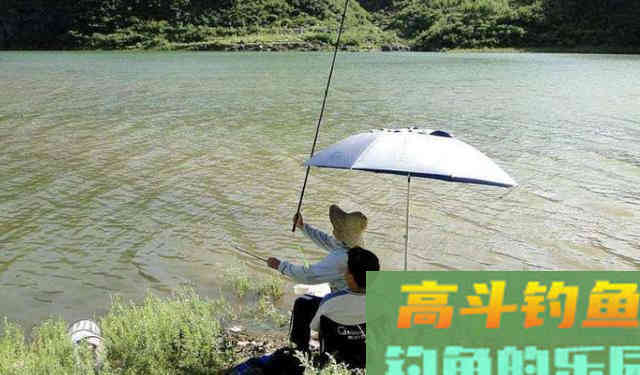 春季钓鱼，饵料除了浓、熟、活，还有一点最重要