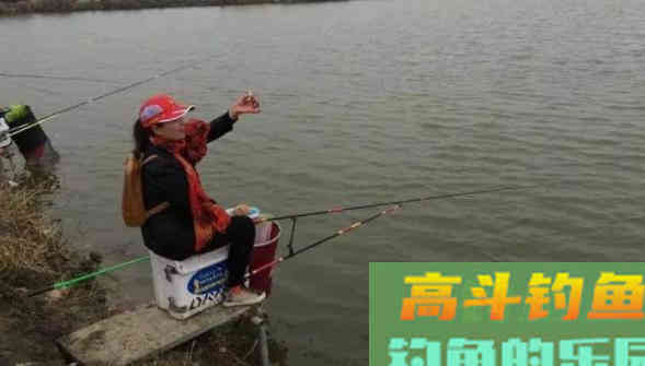 现在记住这七点，钓鱼时让你鱼获翻倍