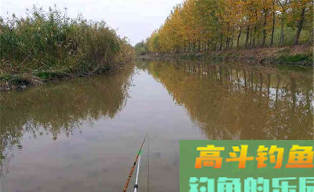 天冷钓远，天热钓深，不冷不热钓边