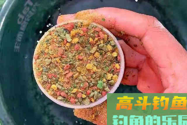 春钓只要有这饵料用法，鲤鱼再大都得乖乖上钩