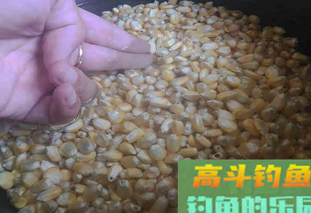 自制钓鱼窝料配方，无偿奉献给大家