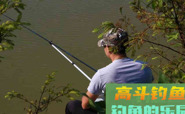 这些好吃的水果，用来钓鱼，鱼也喜欢