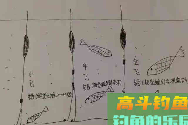 小小铅坠却有大用途，只需换换座位