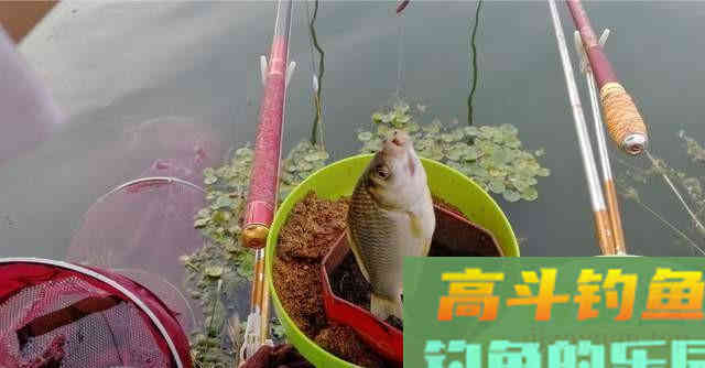 这七种抓口时机，很多老钓友都不知道