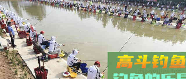 你真的会打频率吗？这个问题老钓客都犯迷糊