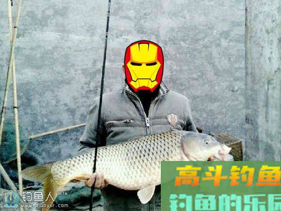 化氏钓鲤鱼鲫鱼饵料配方大全推荐