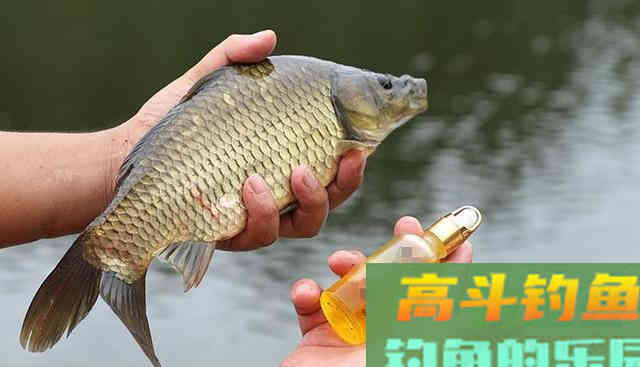 花钱买小药？真的没必要！这3样东西家家都有