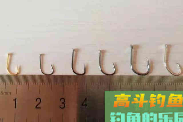 每次提竿都没鱼？殊不知这简短3招
