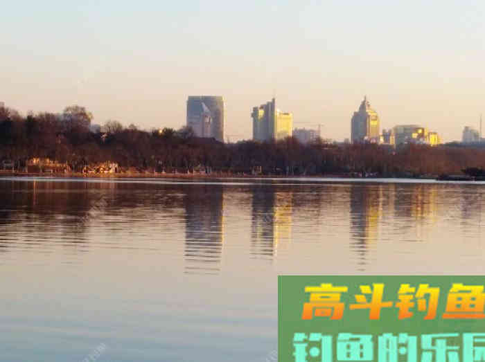冬钓鲫鱼开饵体会