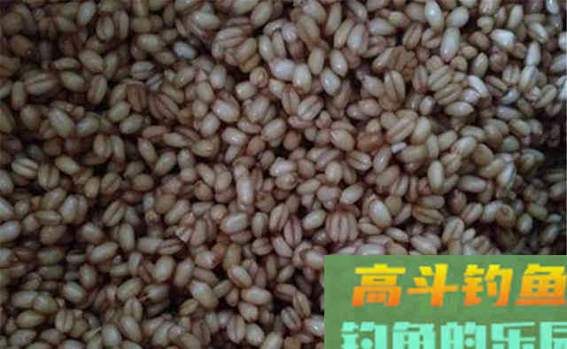 大鱼觅食正疯狂，用这些自制饵料配方