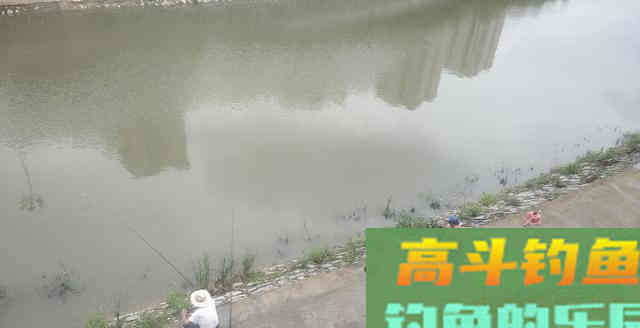 钓了大半辈子的老头说啥也不告诉我秘方