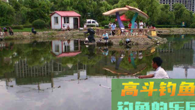 有鱼没口怎么办？别着急，找准原因才能解决问题