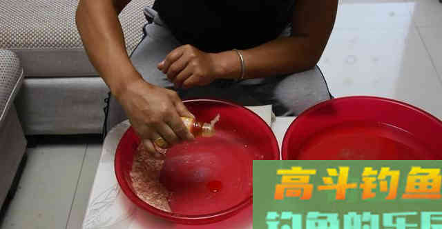 夏季钓鲫鱼这款饵料可以试试