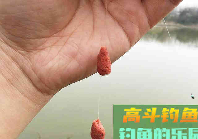 为了钓到鱼，钓友想尽各种办法！鱼：我们被包围了