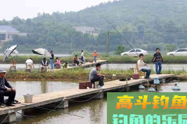 上鱼率太低，一气之下换用这三招