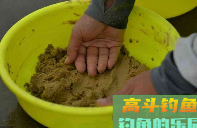 大鲤鱼再狡猾，用我这饵也能一钓过瘾