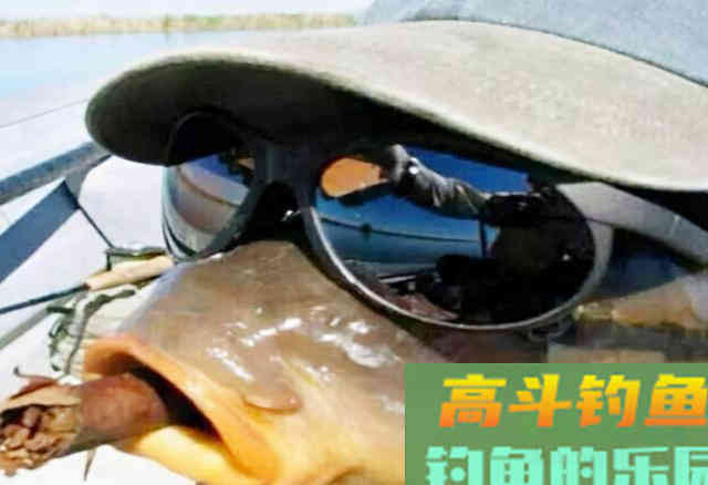 别再单用打窝米了，要掌握这4种用法