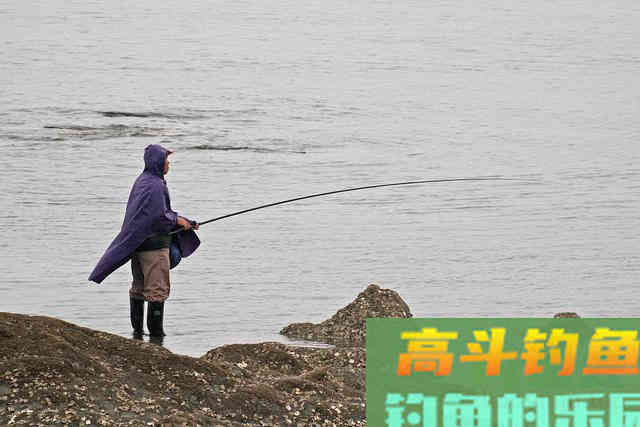 新手钓鱼遇到这五种钓点千万别错过，个个都是鱼窝